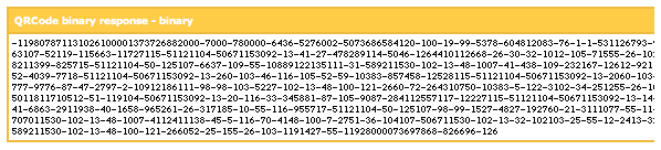 QR Code Binary Dump